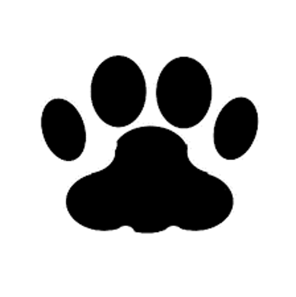 אביזרי האכלה/שתייה 