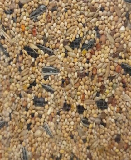 תערובת לציפורי אהבה וקוקטלים 20 ק"ג למגדל